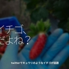 956食目「イチゴ、だよね？」twitterでキュウリのようなイチゴが話題