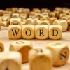 New Words for Old Things: Why We Invent New Terms