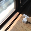 西日対策に窓用の断熱フィルムを貼る