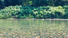 仙見川ふるさとづくり河川公園【五泉市】