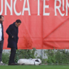Delanteros, 4 - Goles, 0