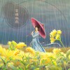 菜種梅雨