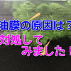 メダカの水槽内に油膜がはる！原因は？対処してみました！