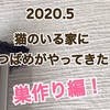 つばめが玄関ポーチに初巣作り開始！かかった日数は？