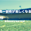 【サッカー観戦の楽しみ方】No.29 審判の采配が及ぼす影響