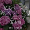 1688食目「私のペースで楽しくランラン♪ランニング37本目」室見川コース＠福岡・姪浜