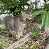 本日のベストスリー３月１２日