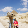 ギザ：エジプトといえばここ！ギザの三大ピラミッド　ミーハー好きもそうでない人もみんないらっしゃ～い