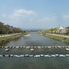 色とりどりの花が咲く――診察待ち時間