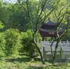 雲栖竹径（2007年5月8日）雲霞む竹の道を行く