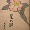 星の群　江馬嵩