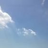 時移り蝉の音わずかつたう風