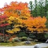 泉涌寺の紅葉2025：見頃や色づき状況、混雑回避の方法！