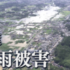 ネットでも情報収集できない　～せいうち日記212（さらに続き）
