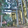 生駒神社の杉伐採