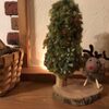クリスマス準備～☆
