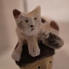 ねこ展2