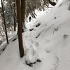 山レポ 雨乞岳（標高1,238m 滋賀県東近江市）