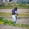 草刈り 花小金井