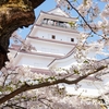 会津の桜2022④ 鶴ヶ城公園の桜(昼間の散策編)