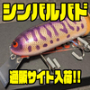 【フィッシュデバイス】金属プレート付きビッグバド系プラグ「シンバルバド」通販サイト入荷！