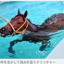 くりんくりんの最強競馬ブログ