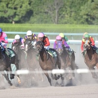 競走馬名 面白い名前 変わった名前 第3弾 馬主 森中審さん所有馬編 搾りたて生アキロッソ 競走馬名 面白い名前 変わった名前 第3弾 馬主 森中審さん所有馬編 搾りたて生アキロッソ