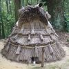 北川のカンノキさん（山の神）・法道寺薬師堂の楠