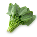 ほうれん草の随筆