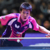 男子・世界卓球2016 水谷隼、丹羽孝希、大島祐哉、吉村真晴、松平健太の選手紹介