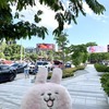 チェンマイの中心部に住む私の自宅コンドから南側と北側では全然様子が違うのよ～