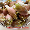 ミョウガの甘酢付け・茗荷を食べると忘れっぽくなる説
