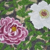 ピンクとホワイト、ツーショットの須賀川牡丹　　思い出シリーズ－35