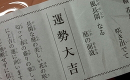 記事を見る