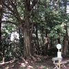 岐阜百年公園をお散歩♪