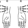 寸・関・尺や左右なぜ五臓が分配されているのか