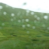 雷雨、休日