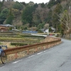 雨の絶景ロード / 風早峠・西天城高原道路（Mar-2019）