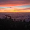 富士山ガイドの日々(Mt.Fuji)