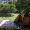木陰でポツンとするおじさんのためのテント・サイト
