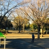 井田公園の遊具がちょっと新しくなってたよ