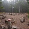 麦草峠〜茶臼山〜縞枯山〜雨池〜麦草峠