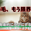 【洗濯しても取れない】猫の毛対策の神アイテム5選！掃除の絶望を救う裏ワザを本音レポ