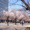 通院と花見  群馬県高崎市城址公園