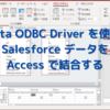 CData ODBC Driver を使ってSalesforce データをAccess で結合する