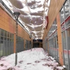 地域全体に影響！弘前市から山あいまで大雪被害