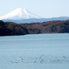 狭山湖からの富士山