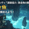 Mhw ピンクパレクスの捕まえ方 重要バウンティ 調査協力 ピンクパレクスの捕獲 まったり庭