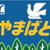 団体臨時列車 特急「やまばと」号で行く山形への旅を予約してみました