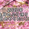新型コロナウイルスで予定の狂った2020年2月のふりかえりと3月のこと